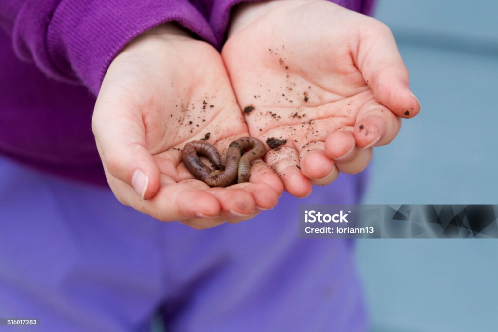 Worm infestation in children